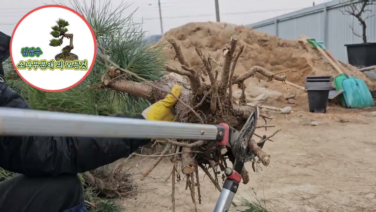 꼭아셔야할 다듬기설명