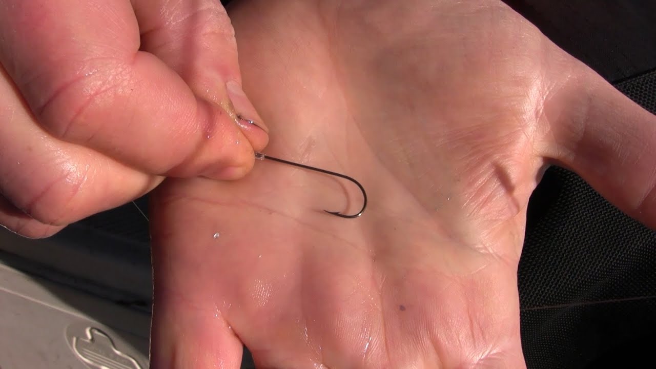 How to Rig a Live Minnow for Maximum Action - Different Ways to