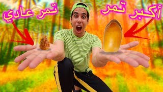 لقيت أكبر تمر في العالم في مدينة سعودية (لايفوتكم المكان) 😍🌴