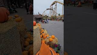 The BEST Theme Park In The UK!