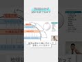 偏西風はなぜ西から吹くのか? #地理探究 #地理総合 #地理b #共通テスト #高校地理 #気候 #大気大循環 #偏西風