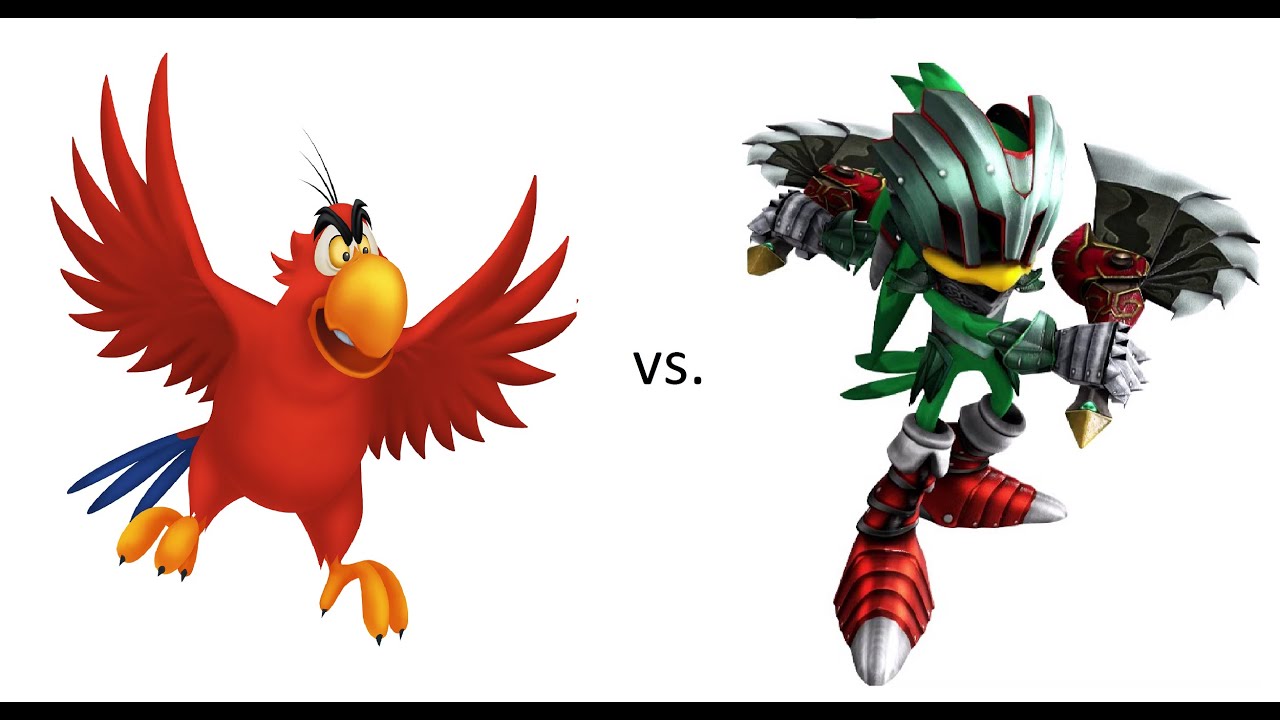 jet the hawk vs. iago the macaw...