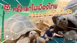 ครั้งแรกของเมืองไทย ที่เต่า Aldabra ฟักไข่เป็นตัว - เพื่อนรักสัตว์เอ้ย EP.94 [2/6]