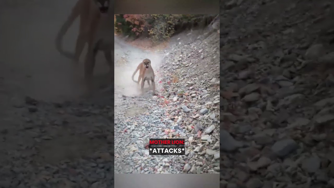 Why You Should Never Hike Alone