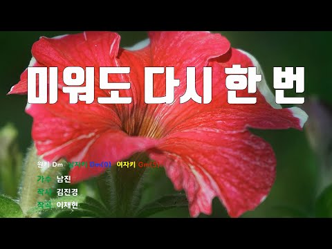 [은성반주기] 미워도다시한번 - 남진 /MR/가사
