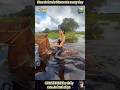What Happens When Animals Go Wild and Cute?