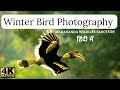 Bird photography in winter at mahananda wildlife sanctuarya photographers paradise