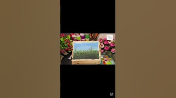 #gouchepainting#họcvẽgouache#painting #acrylicpainting#Vẽ hoa cúc Họa mi đơn giản bằng màu Gouache