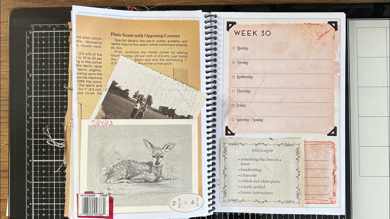 #2023cwp30 Margarete Miller Weekly Collage - YouTube