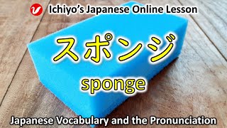 スポンジ (suponji) | sponge | Japanese Vocabulary and the Pronunciation