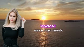 Aşkın Nur Yengi - Gel Yabani Gör Halimi ( Seta Pro Remix ) | Yabani Resimi