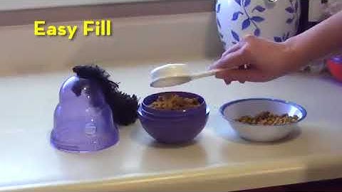 Kong Cat Wobbler Juguete Gato