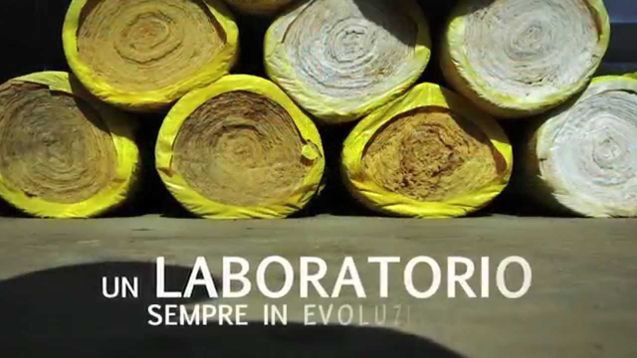 FIORANESE - Temporary Workspace (it)