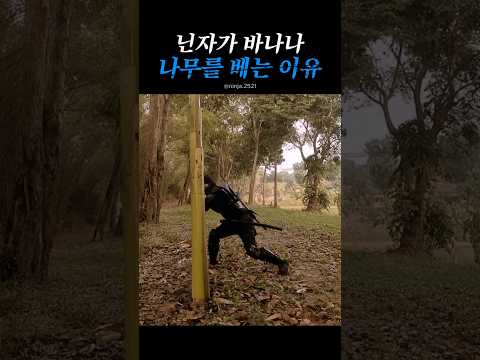 닌자가 바나나 나무를 베는 이유 thumbnail