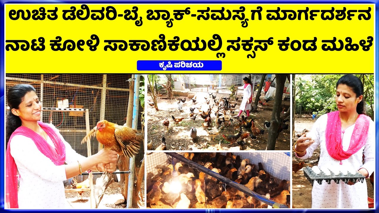 63804 37690 ಸ್ವಲ್ಪ ಜಾಗ ಇದ್ದರೆ ಮಹಿಳೆಯರಿಗೆ &ಯುವಕರಿಗೆ ಸ್ವಂತ ಉದ್ಯೋಗ  ಗಂಗಾಧರ ನಾಟಿ ಕೋಳಿ ಫಾರಂ ವತಿಯಿಂದ ....