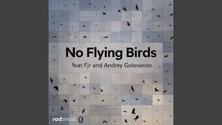 No Flying Birds