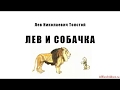 Л. Н. Толстой. Лев и собачка