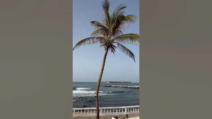 Sea side with a coconut tree #sea #coconut #seaside #shorts #beach #asmr #calm - DayDayNews