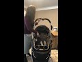 Graco Modes Pramette Travel System First Impression Review