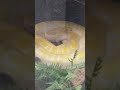 I went to the zoo