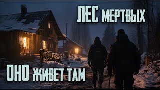 Оно Забирает Людей / Лес Мертвых (2 Часть)