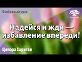 Урок для женщин. Надейся и жди — избавление впереди! Ципора Харитан