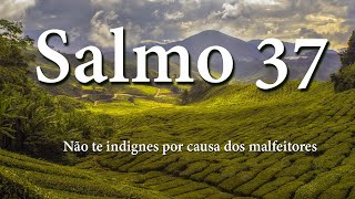 Salmo 37 - Não te indignes por causa dos malfeitores