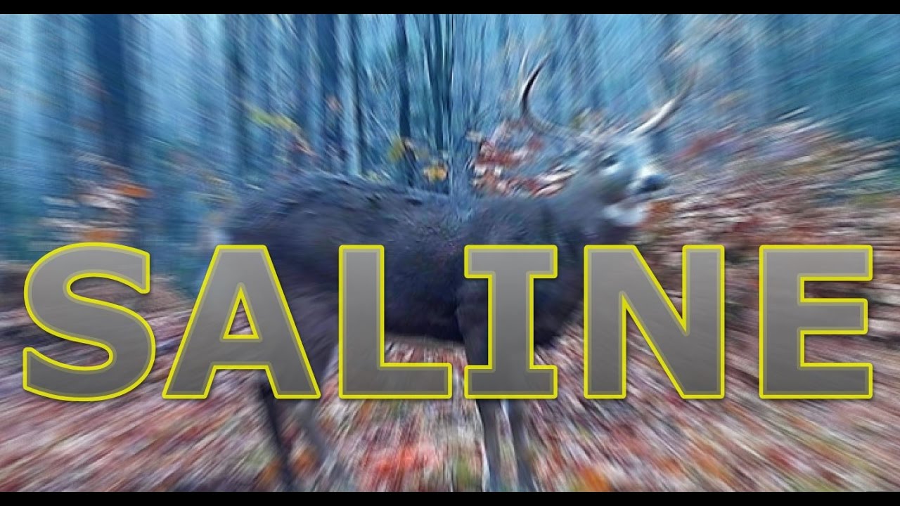 Faite sortir vos chevreuils de jour ! Maximiser les opportunités ! Minéraux pour les pros !