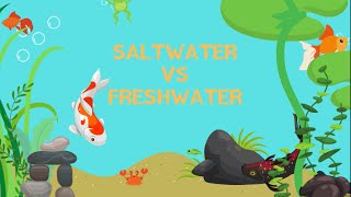 Saltwater Animals vs. Freshwater Animals