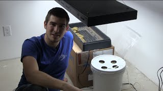 This Hydroponic setup is easy, cheap, quick, and can be made for under $5. I recommend for beginning hydroponic growers all the 