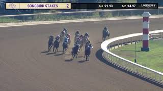 Vidéo de la course PMU SONGBIRD STAKES