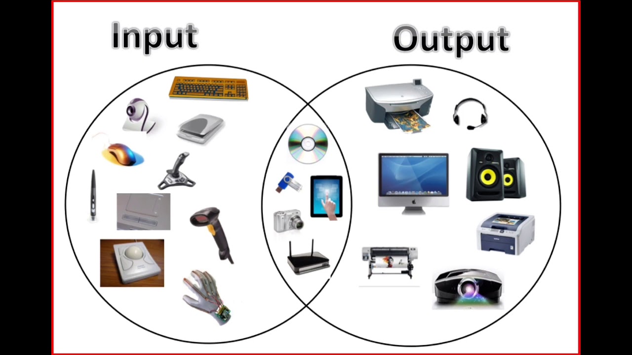 Computer Hardware Input Devices Examples