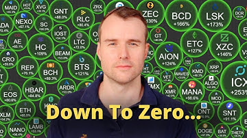 💀 The last bull market...