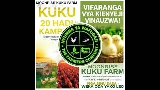 karibu moonrise kuku farm kwa Huduma za uwakika