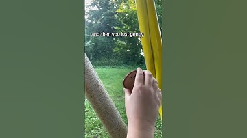 Person demonstrates how to preserve a real spider web!