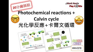 [20分鐘搞掂] DSE Bio 光化學反應+卡爾文循環  Photochemical reactions + Calvin cycle