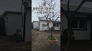 마당이 잘가꿔진 3동짜리 단독주택 연세매물 [26년12월1일이후입주가]