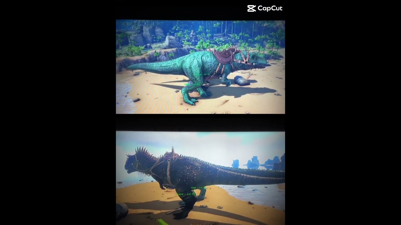 The most Dangerous duo 