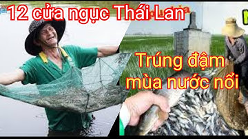 Lú - 12 cửa ngục hôm cải tiến. Trúng đậm cá tôm mùa nước nổi