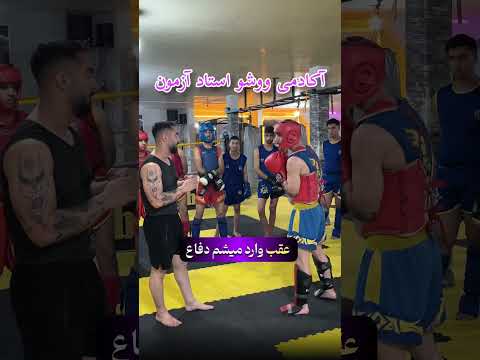 آموزش ووشو ساندا تکنیک های کاربردی رشته های رزمی با مربیگری استاد آزمون ورزش ووشو ساندا