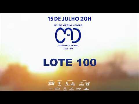 LOTE 100