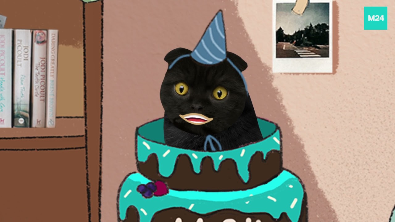 кот бублик москва 24. кот москва 24. кот бублик 2023. кот бублик москва 24. бублик москва 24.