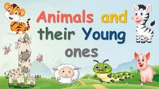 Animals and their young ones | Animals and their babies | Baby animals | Learn about animals screenshot 5