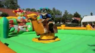 Rodeo Furries