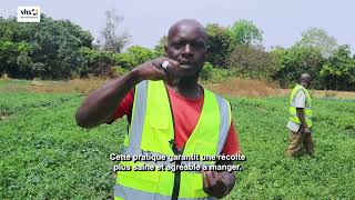 Techniques Agricoles Durable à Dioba (Dio-Gare) dans le cadre du projet PASSIP-GIZ-DVV
