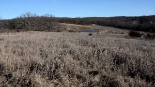 Decatur County, IA Auction 212 Acres