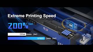 DXZ 2026 A4 DTF Printer with Roll Feeder