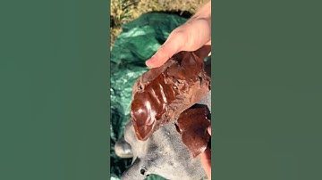 Nature’s Rarest Gem Found Inside This Gemstone! #youtubeshorts #agates #shortsvideo