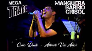 Video thumbnail of "como duele  - adonde vas amor  - Megatrack"