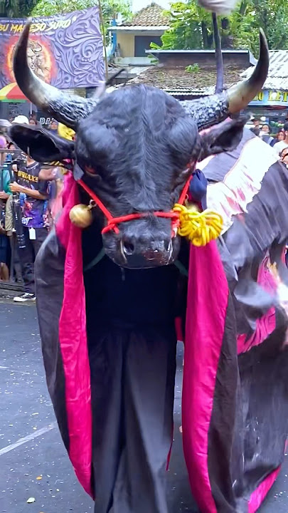 SATRIO MBOYS EMANG BOLEEEH #bantengan #bantengantv #satriomboys #shorts #short